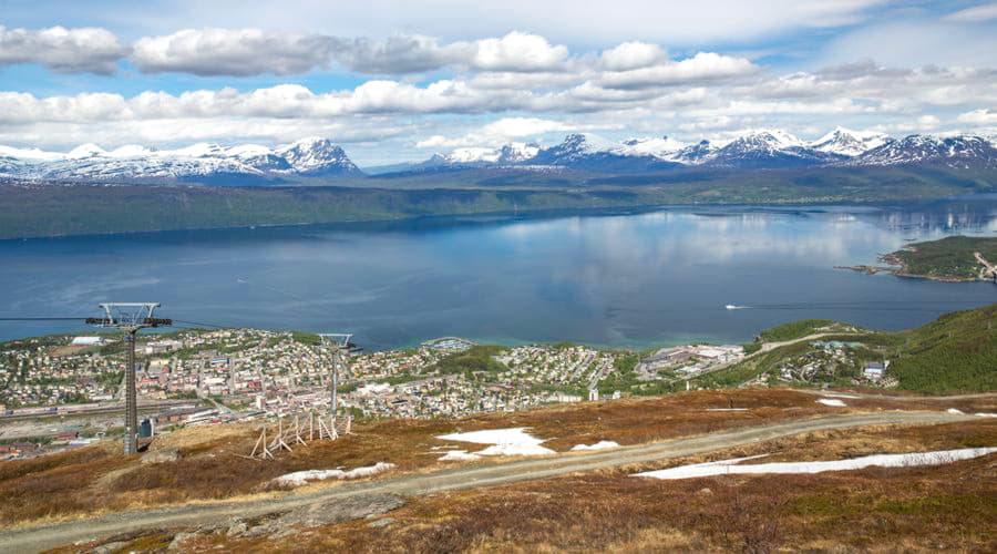 Quali sono le scelte di veicoli più popolari a Narvik?